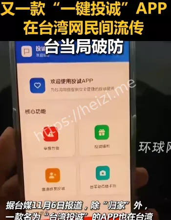 投诚APP火了